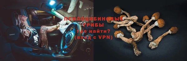 PSILOCYBIN Абаза