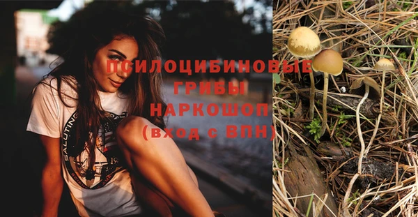 PSILOCYBIN Абаза