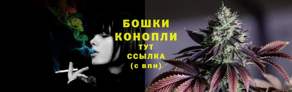 PSILOCYBIN Абаза